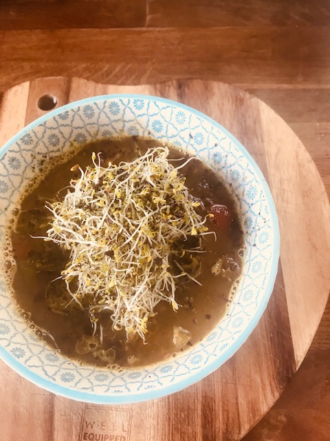 Curried lentil and vegetable broth, with alfalfa and seaweed