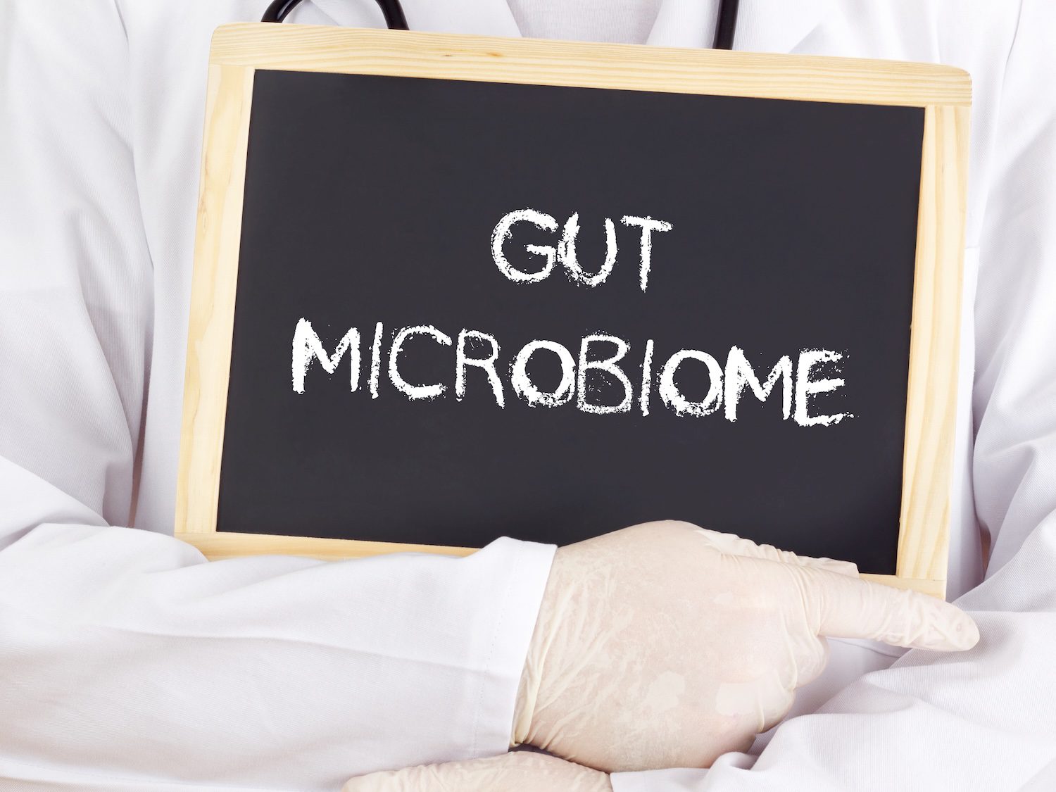 Doctor,Shows,Information:,Gut,Mircobiome